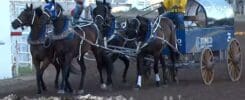 A screenshot of Chad Fike's chuckwagon team the night of a fatal incident for Rider the horse